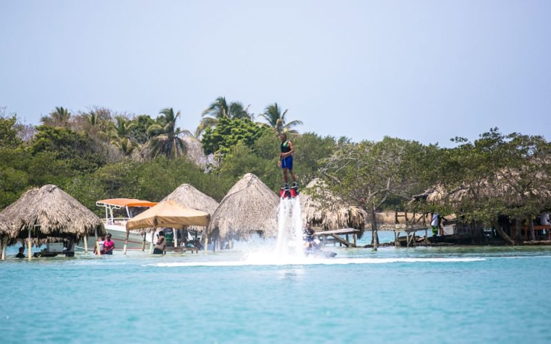 CHOLON-2